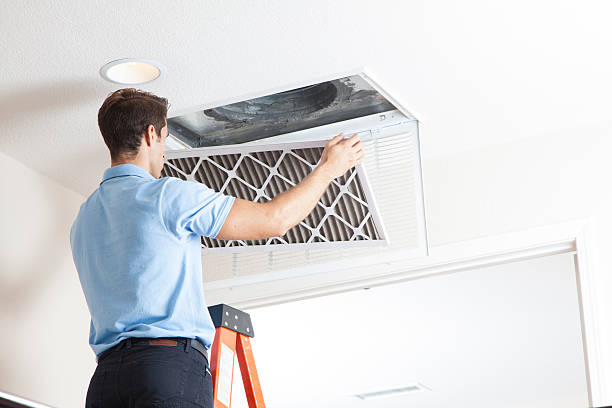 Best Local HVAC Companies  in Auxvasse, MO